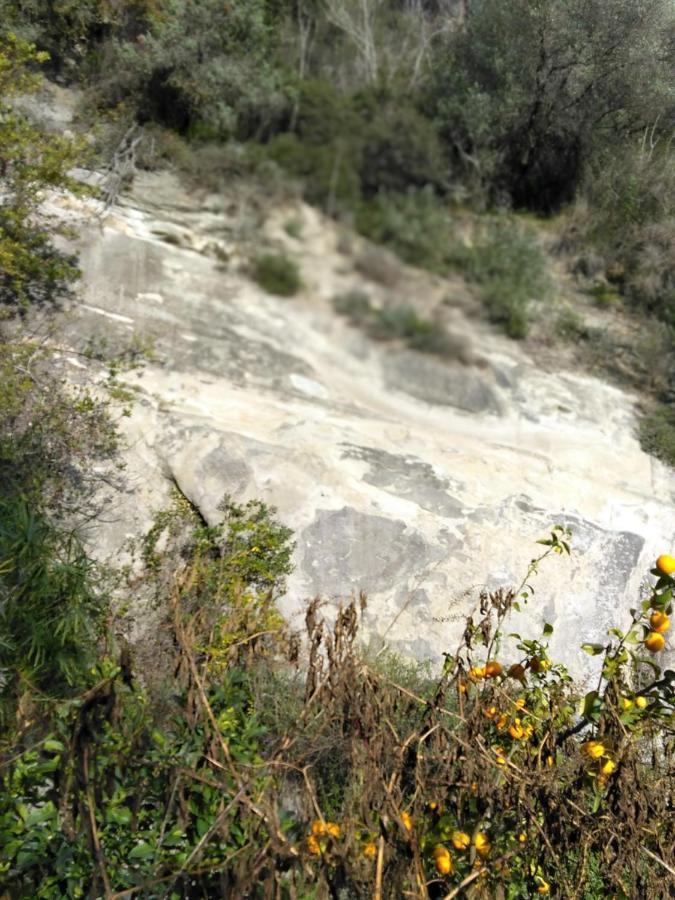 Oasis Βίλα Μεντόν Εξωτερικό φωτογραφία